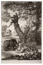 Los guardabosques y el oso. Estado 1